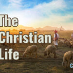 Christian Life
